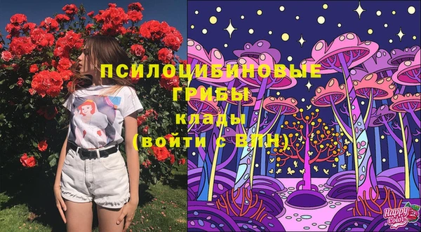 винт Магас